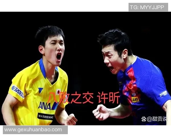 许昕与张本智和激烈对决全程回顾精彩瞬间与技术解析